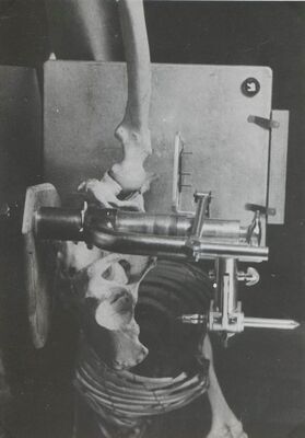 Prenten Adlib\P13317-08.jpg; P13317-08; ;